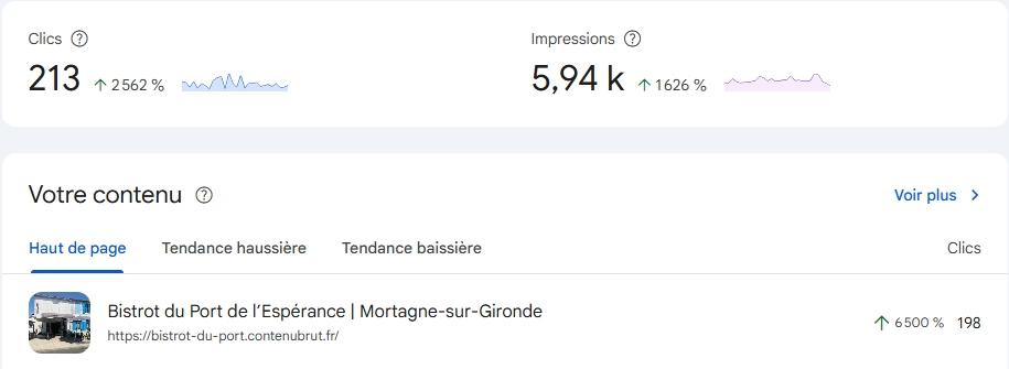 Capture Google Search Console montrant 213 clics, 5,94 k impressions et 198 clics pour la page du Bistrot du Port de l’Espérance sur les 28 derniers jours